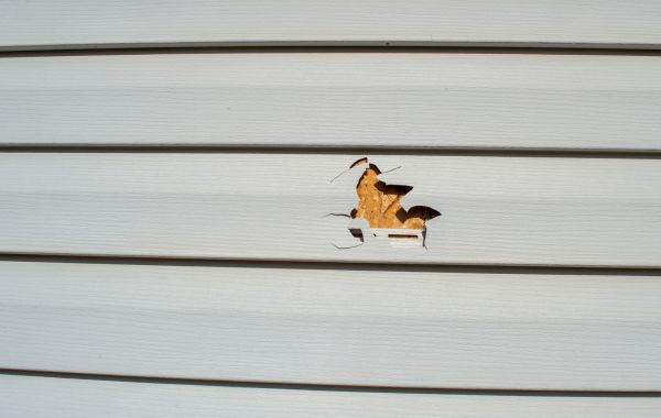 Cost of Siding Hole Patching in Navarre